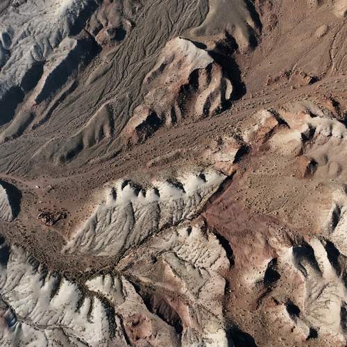 Photo #12875322