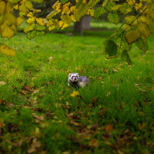 Photo #12875518