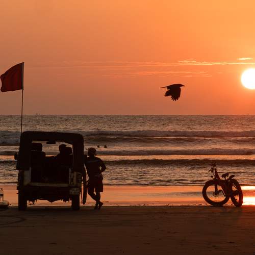 Photo #12875584
