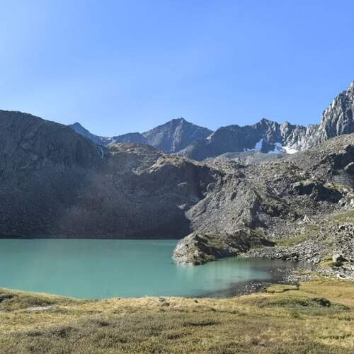 Photo #12875794