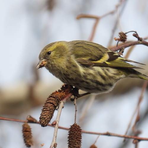 Photo #12875816