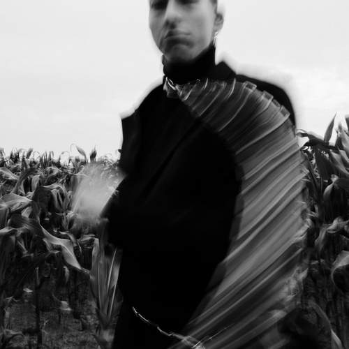 Photo #12876039