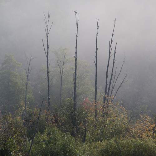 Photo #12876229