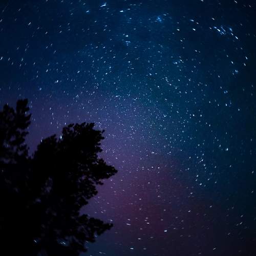 Photo #12876276