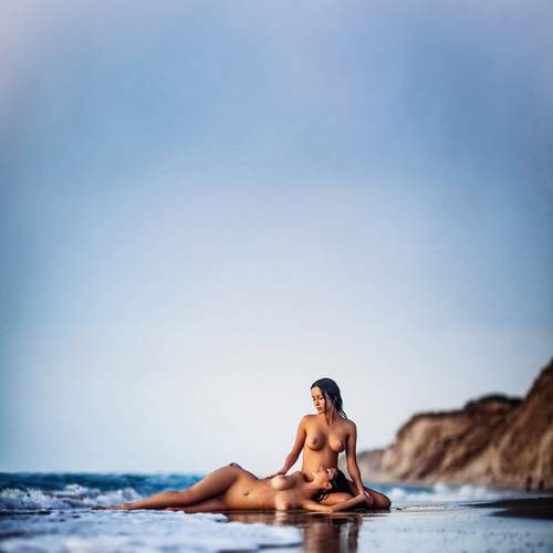 Photo #12876574