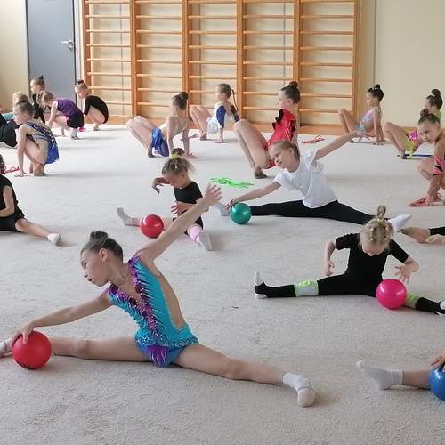 Спортивный клуб и художественная гимнастика.