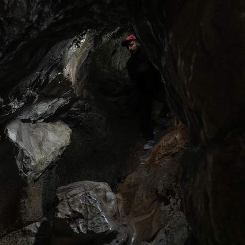Photo #12876841