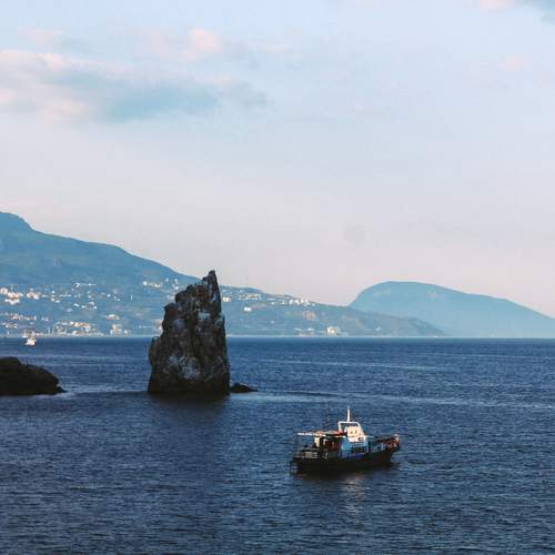 Photo #12878105