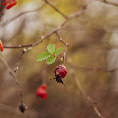 Photo #12878224