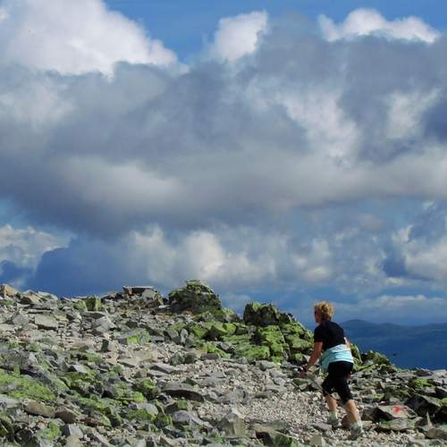 Photo #12878425