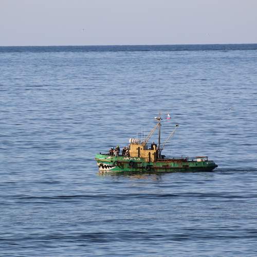 Photo #12878445