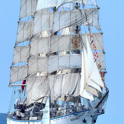 Photo #12878532