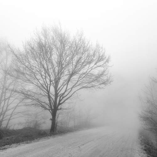 Photo #12878616
