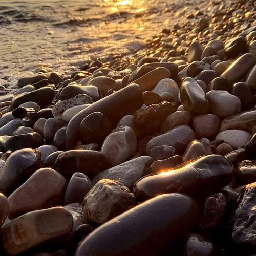 Photo #12879432