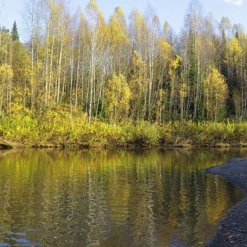 Осень в зеркальном исполнении таежной реки