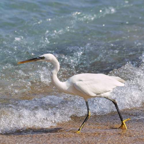 Photo #12879808