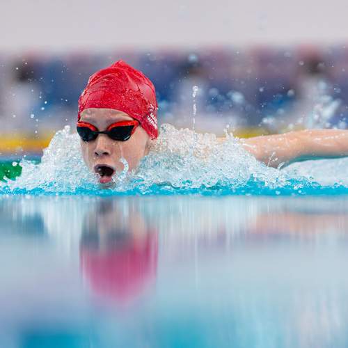 Photo #12879911