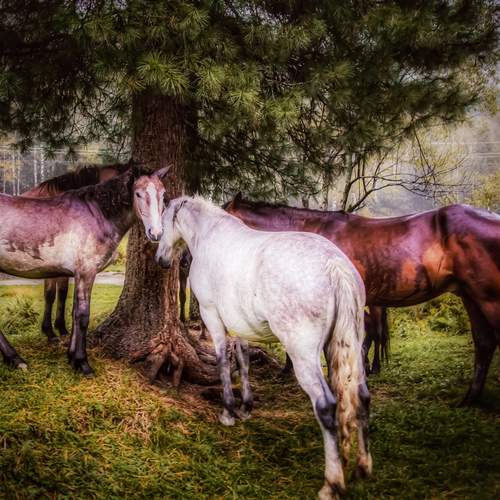 Photo #12880186