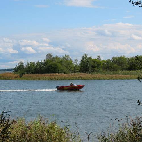 Photo #12880337