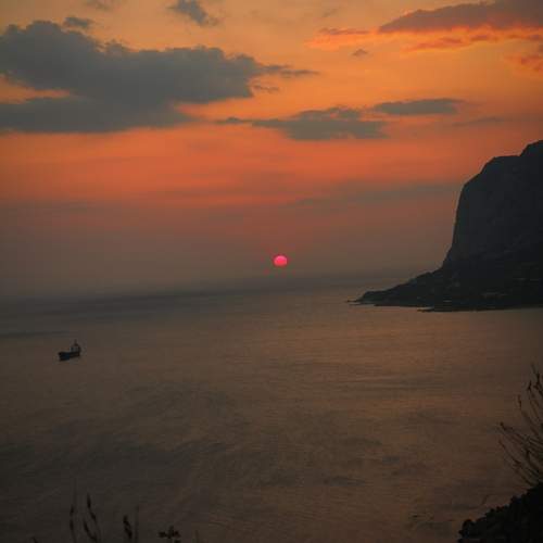 Photo #12880496