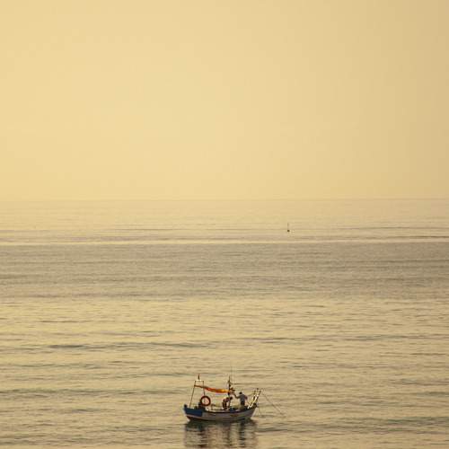 Photo #12880816