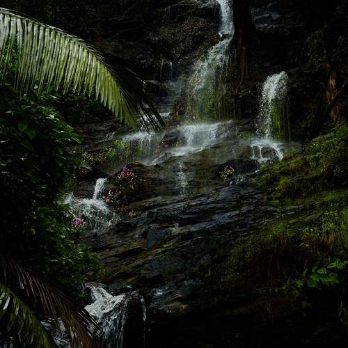 Photo #12880911