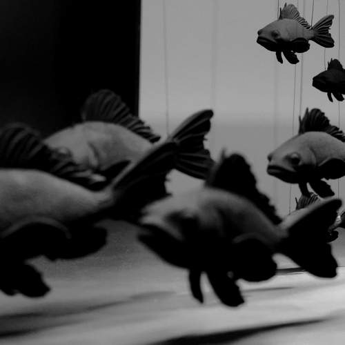 Photo #12880984