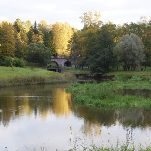 Photo #12881025