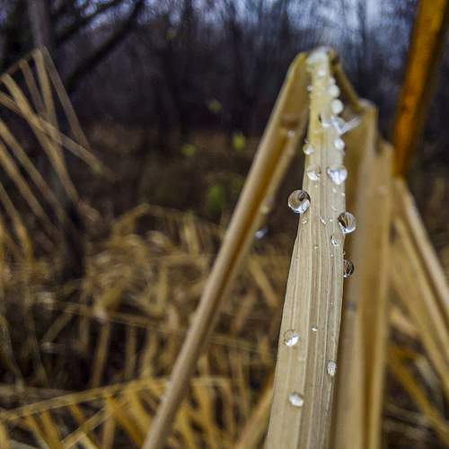 Photo #12881284