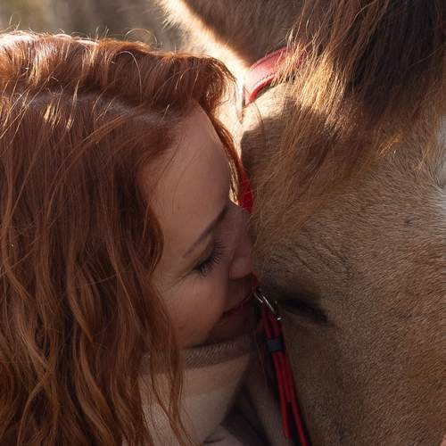 Фотография #12881364