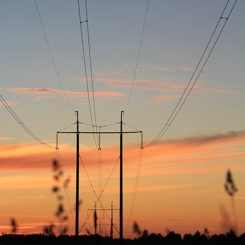 Photo #12881388