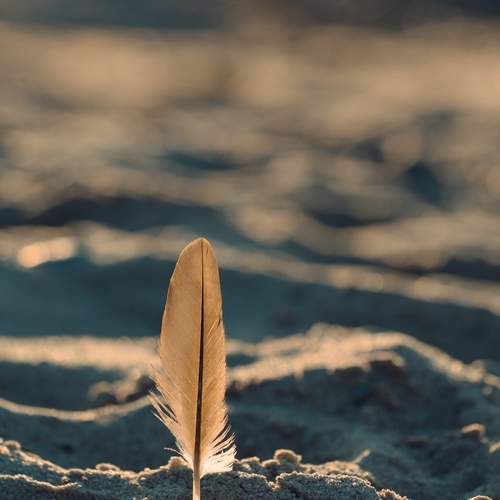 Photo #12881389