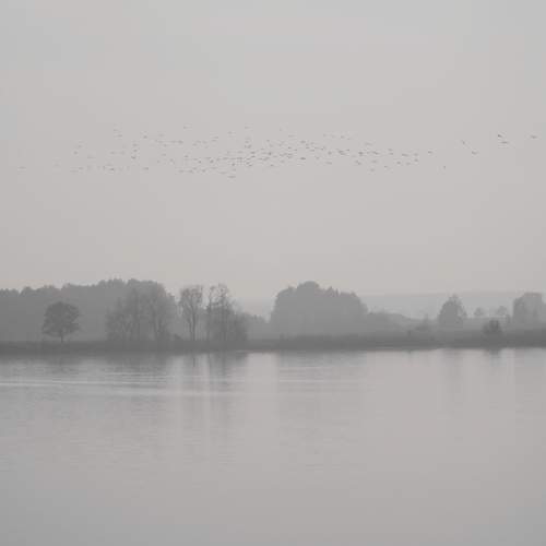 Photo #12881396
