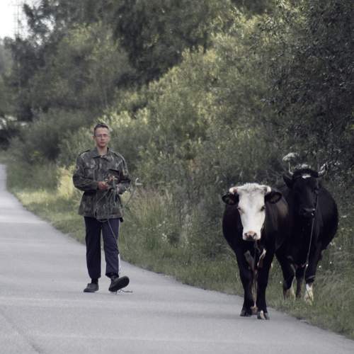 Photo #12881398