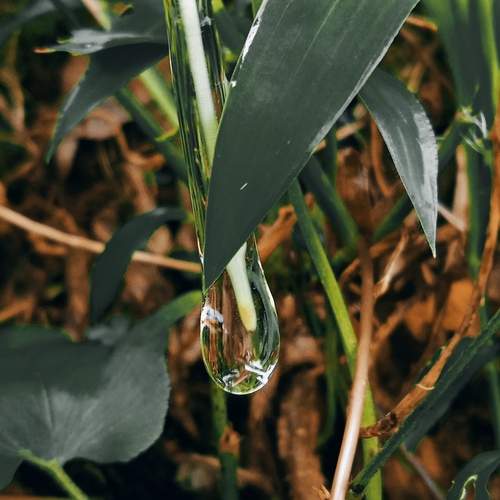 Photo #12881414