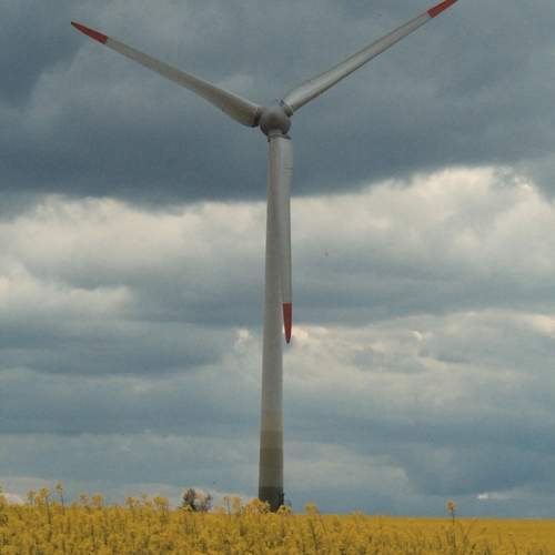 Photo #12881419