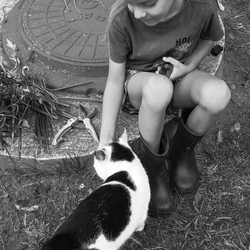 Photo #12881504