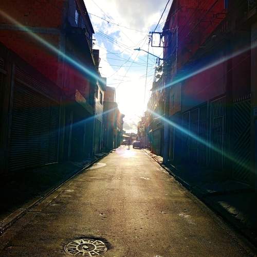 Photo #12881584