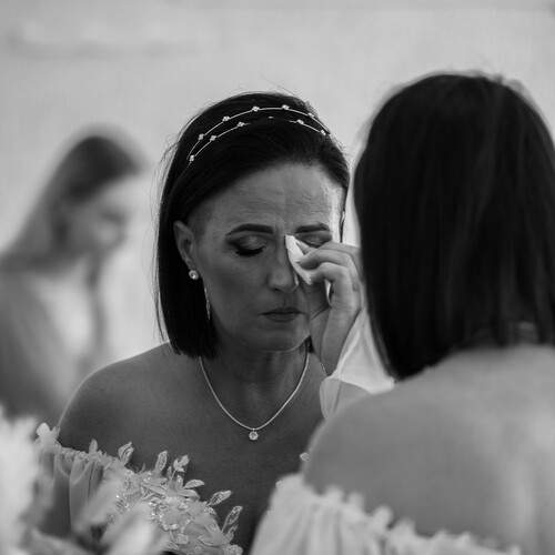 Photo #12881618