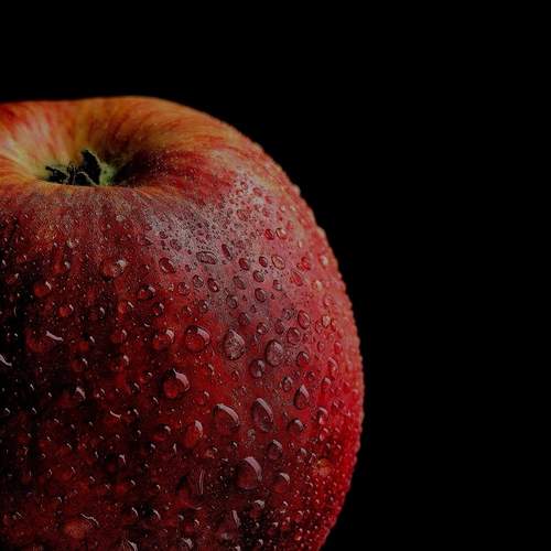 Photo #12881956