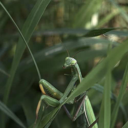 Photo #12881957