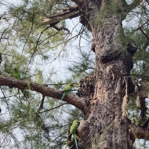 Photo #12881993