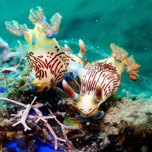 Photo #12882241