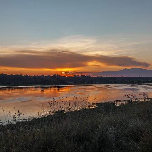 Photo #12882304
