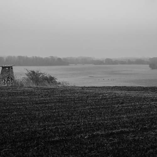 Photo #12882314