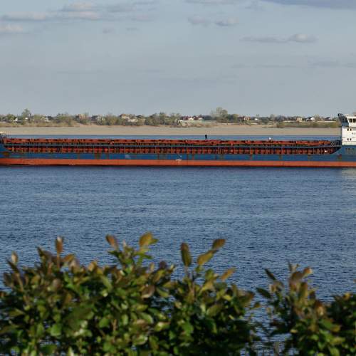Photo #12882378