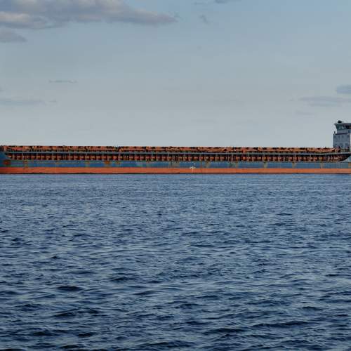 Photo #12882379