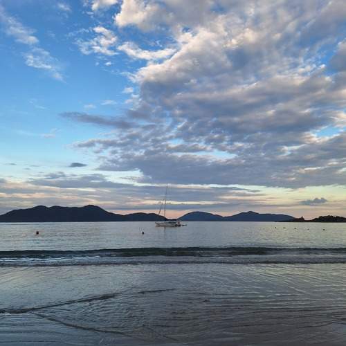 Photo #12882417
