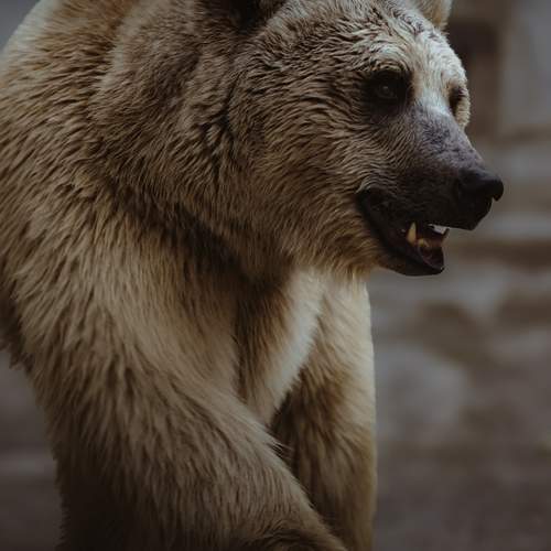 Photo #12882780