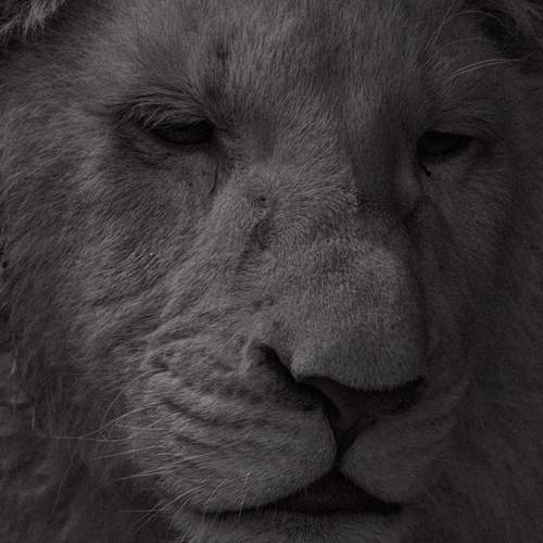 Photo #12882797